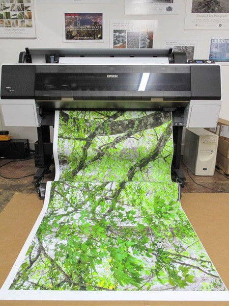 Epson Print Length, PW Sensors, & Printing With Missing Colors