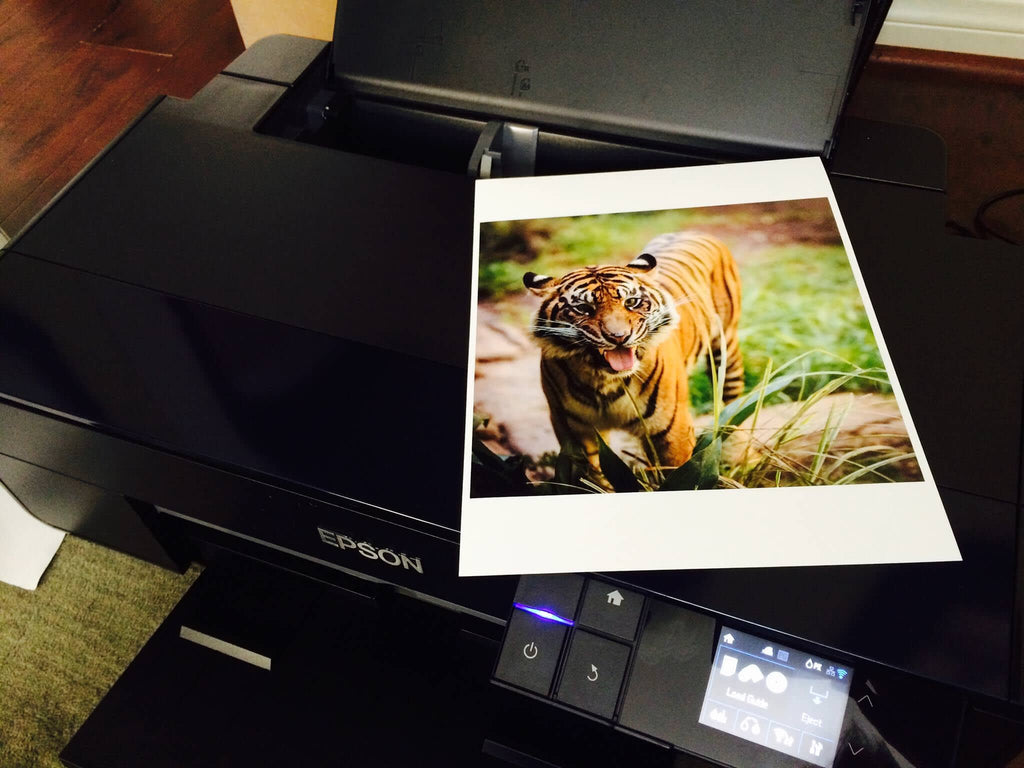 Epson Surecolor P600 Reviews and More – Breathing Color