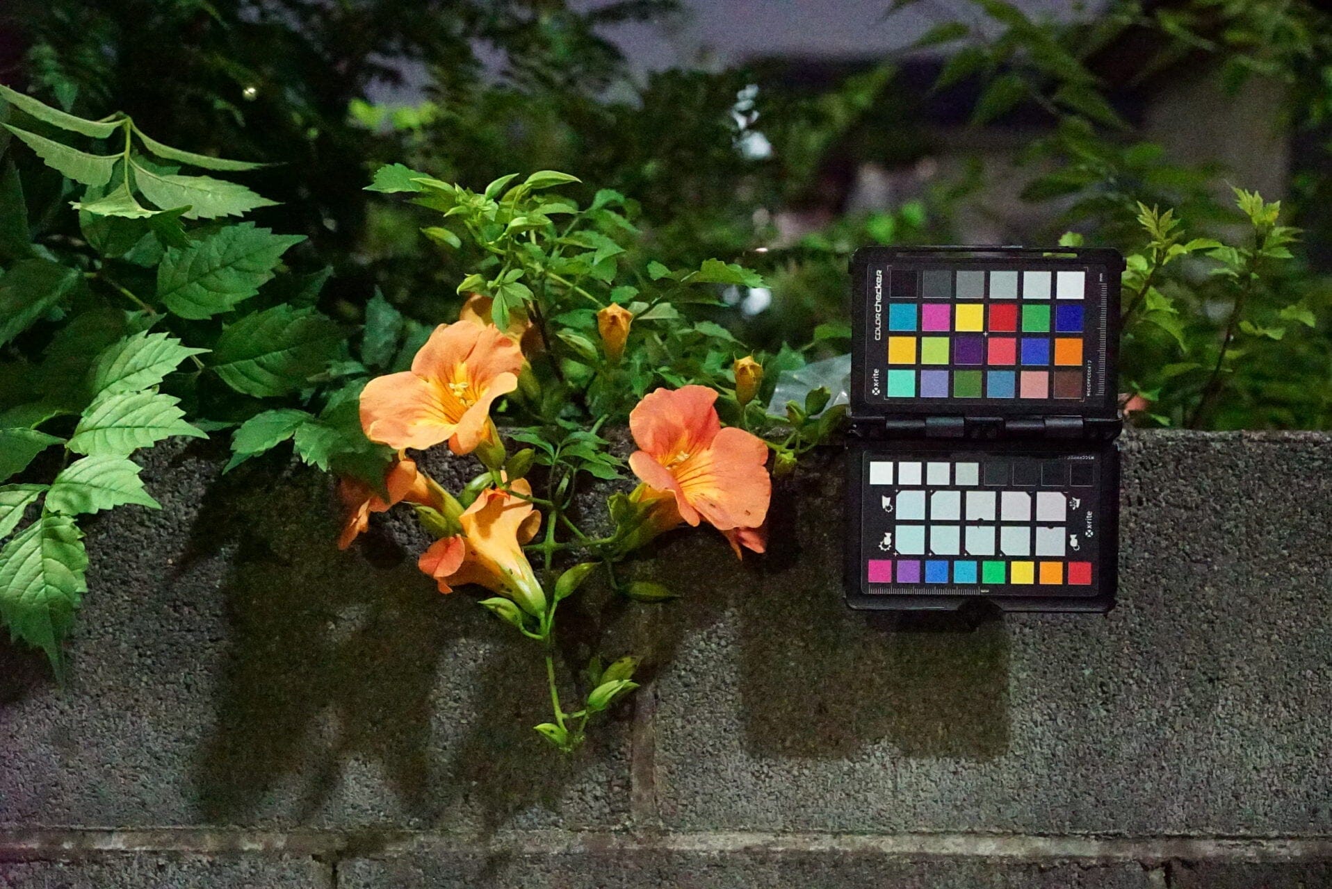 その他 Colorchecker | white balance Calibrite ColorChecker White Balance CCWB B&H Photo Video