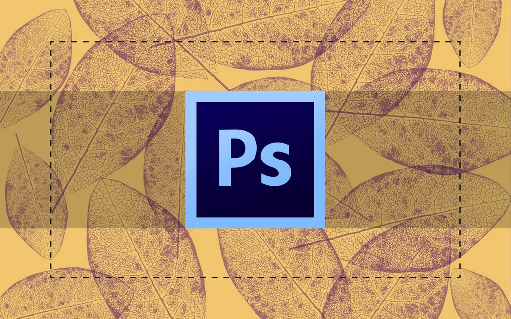 Popular Tools in Photoshop: the Marquee Tools