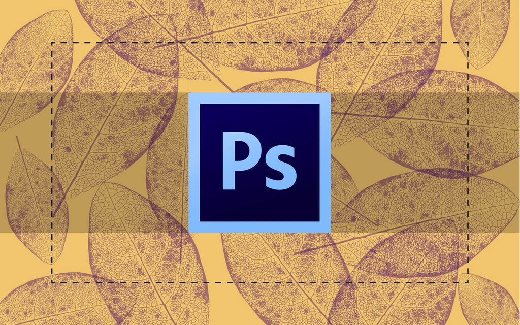Popular Tools in Photoshop: the Marquee Tools