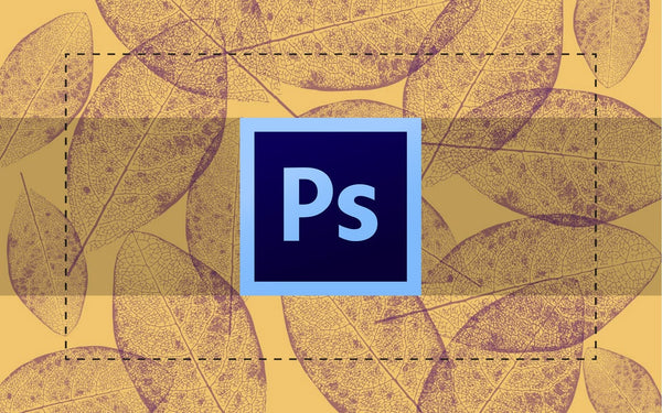 Popular Tools in Photoshop: the Marquee Tools
