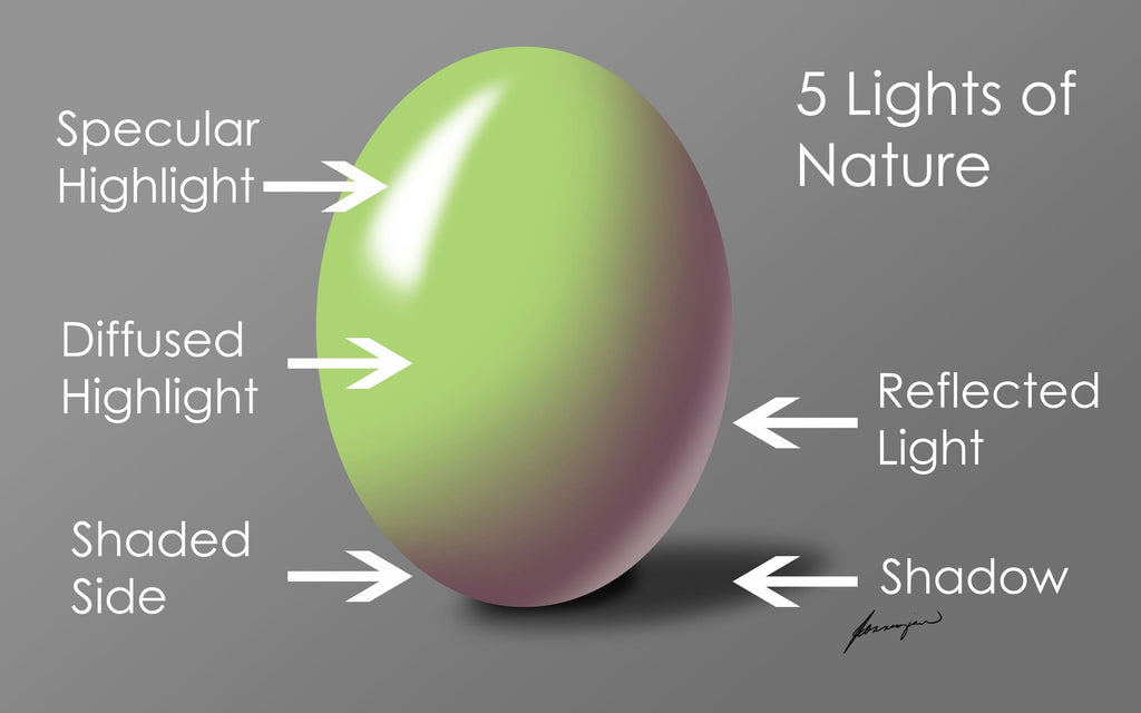 The Importance of Light: the Five Lights of Nature