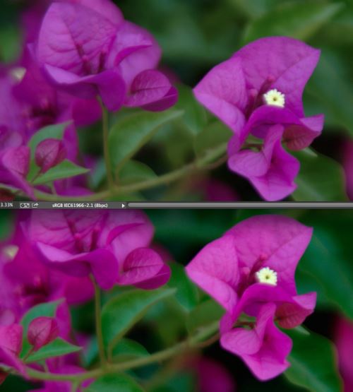 What Are Color Profiles? – Demystifying a Key to Great Photography ...