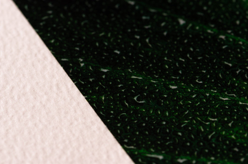 Mint Textured fine art paper