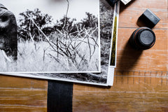 Image of an elephant walking in tall grass printed on BreathingColor's Vibrance Luster Photo Paper